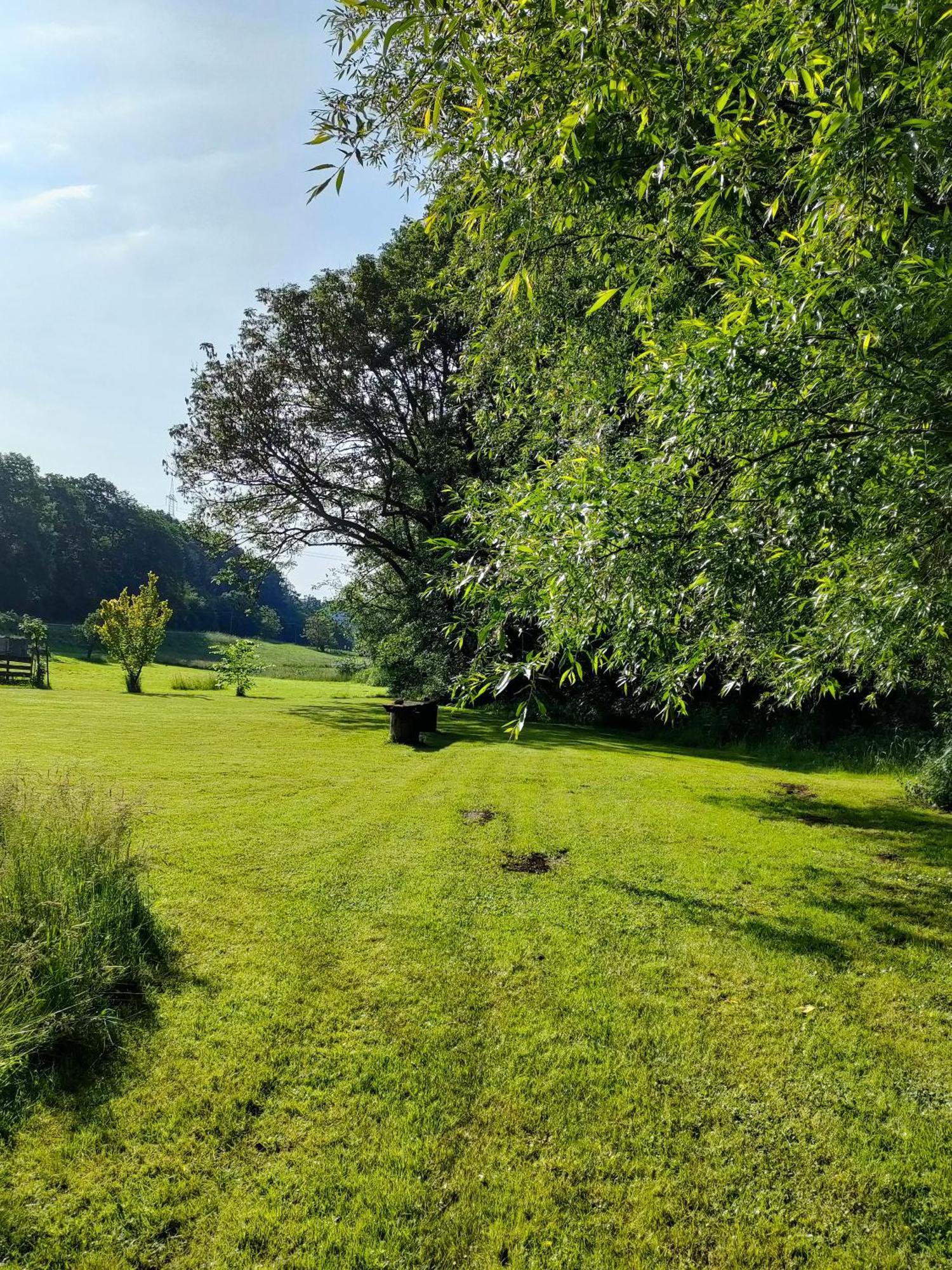 Wind In Den Weiden, Uebernachten Am Bachlauf Villa Birstein Exterior photo